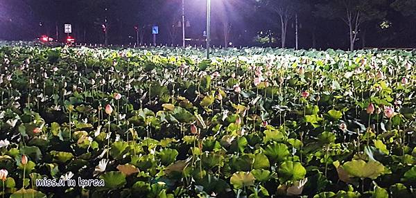 20180701_212701.jpg 20180701_212701.jpg