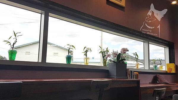 20180707_130217.jpg 20180707_130217.jpg