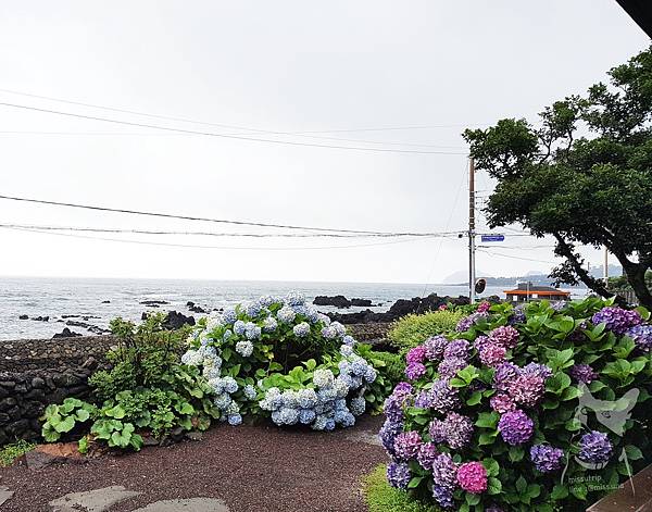 20180629_115059.jpg 20180629_115059.jpg