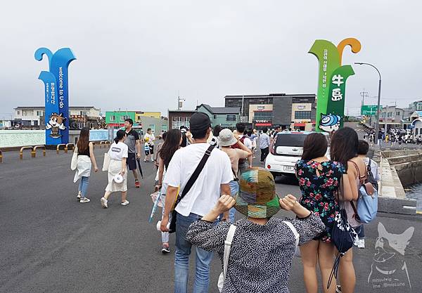 20180629_142230.jpg 20180629_142230.jpg