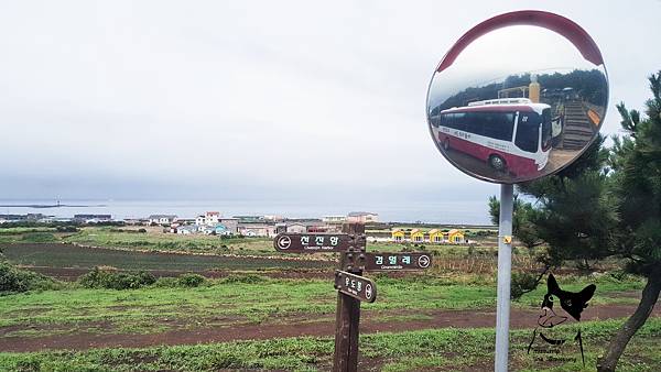 20180629_143706.jpg 20180629_143706.jpg