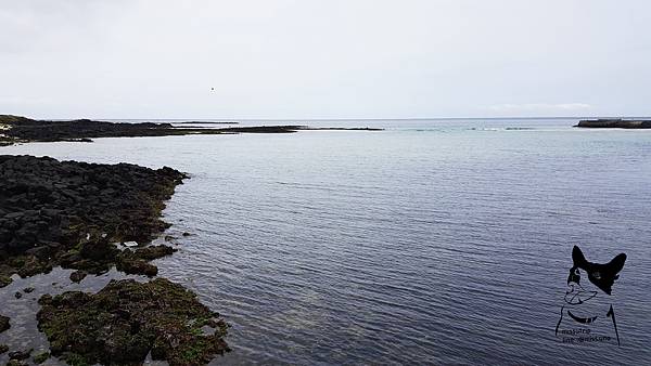 20180629_145840.jpg 20180629_145840.jpg