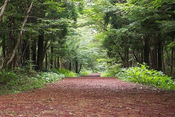 思連伊森林步道