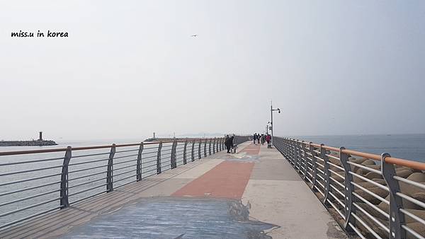 20190319_141657.jpg