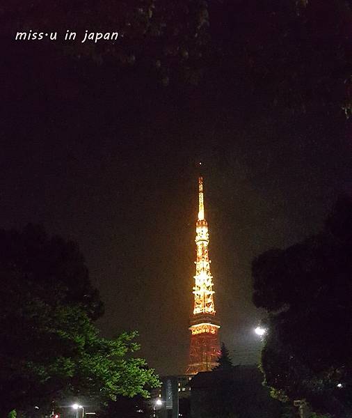 20190503_232042.jpg
