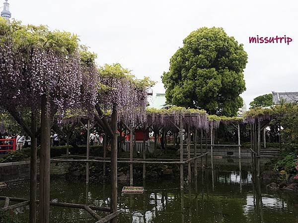 WuTa_2019-05-01_14-38-43.jpg