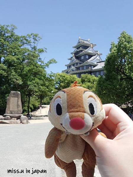 WuTa_2019-06-13_13-16-38.jpg WuTa_2019-06-13_13-16-38.jpg