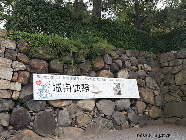20190614_115246.jpg