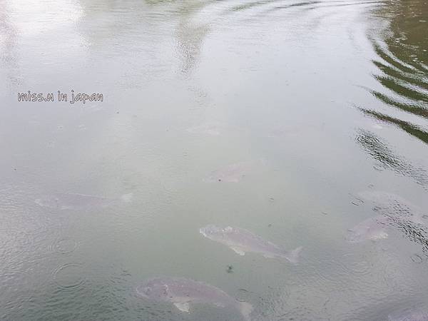 20190614_133519.jpg