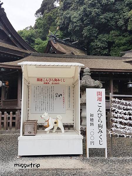 20190614_160253.jpg