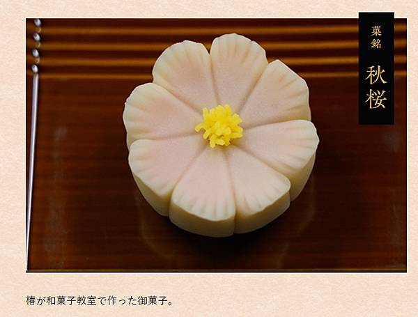 我們的愛情和菓子9 我們的愛情和菓子9
