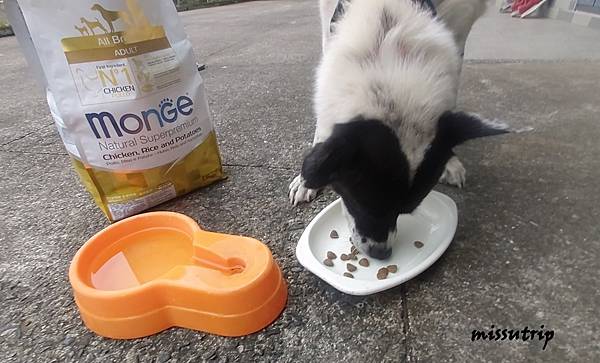 馬吉恩寵物糧食