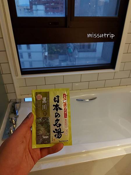 內湖凱旋飯店 (26).jpg