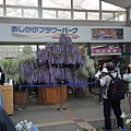 東京足立花園 (88).jpg