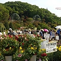 東京足立花園 (98).jpg