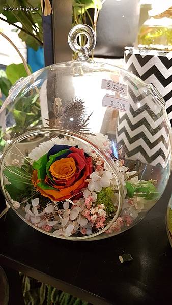 20170910_152548.jpg 20170910_152548.jpg