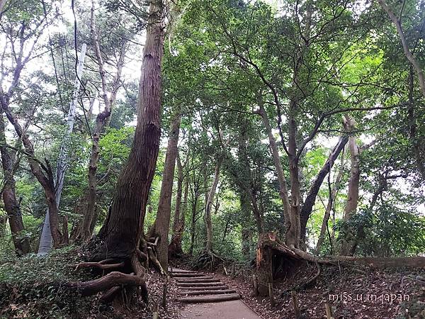 20221009_141420 20221009_141420