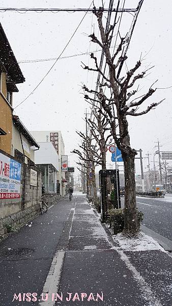 京都雪閣寺-金閣寺 (37).jpg