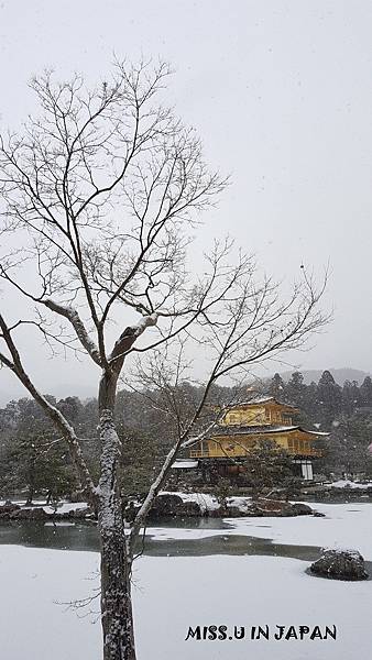 京都雪閣寺-金閣寺 (58).jpg