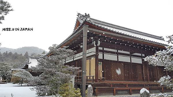 京都雪閣寺-金閣寺 (71).jpg