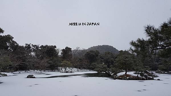 京都雪閣寺-金閣寺 (73).jpg