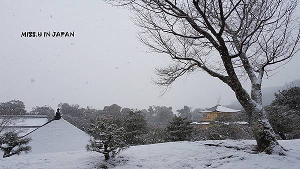 京都雪閣寺-金閣寺 (100).jpg