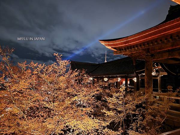 清水寺 夜櫻 (8).jpg