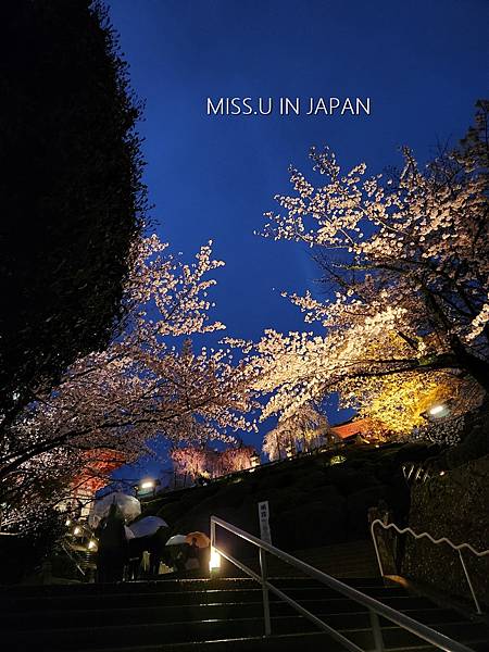 清水寺 夜櫻 (28).jpg