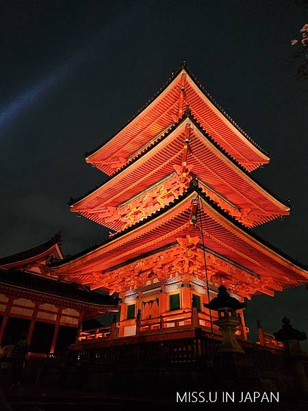 清水寺 夜櫻 (33).jpg