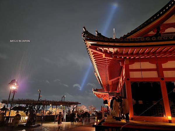 清水寺 夜櫻 (43).jpg