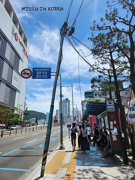 太宗台繡球花 (43).jpg