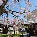 大將軍八神社」 (9).jpg