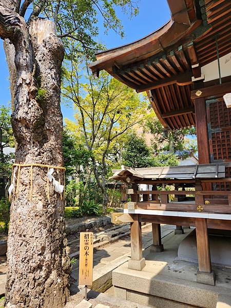 大將軍八神社」 (20).jpg