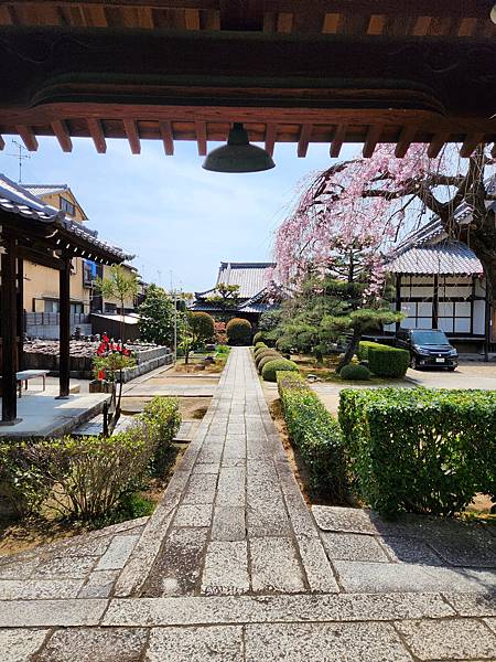 大將軍八神社」 (42).jpg