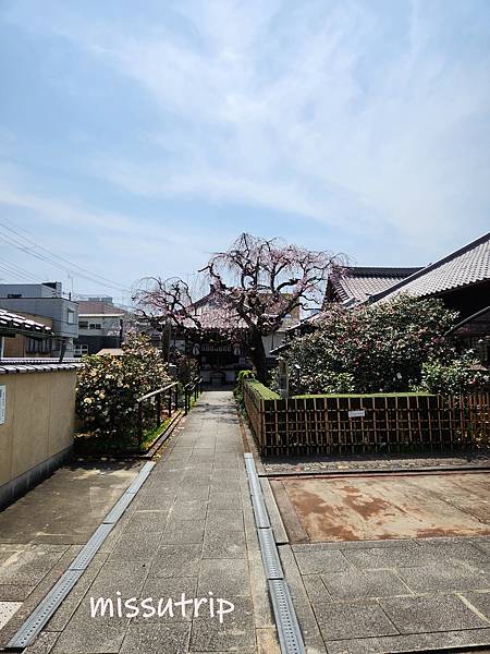 大將軍八神社」 (43).jpg