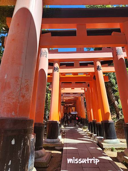 京都奈良浴衣 (9).jpg