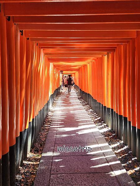 京都奈良浴衣 (10).jpg