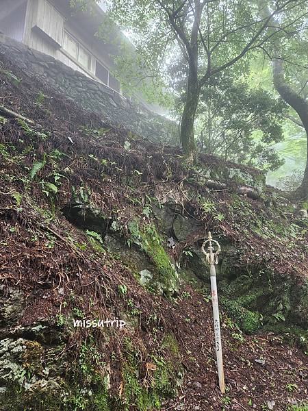 玉置神社 (11).jpg