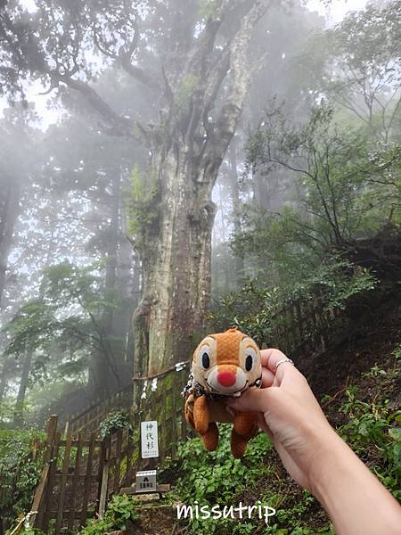 玉置神社 (21).jpg