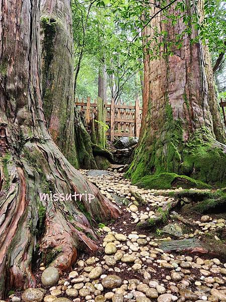 玉置神社 (36).jpg