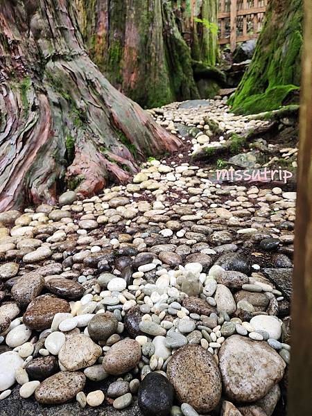 玉置神社 (37).jpg