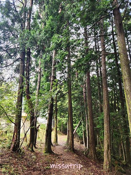 玉置神社 (42).jpg