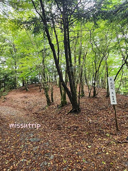 玉置神社 (43).jpg