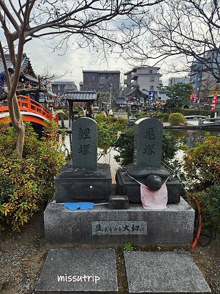 神泉苑 (13).jpg