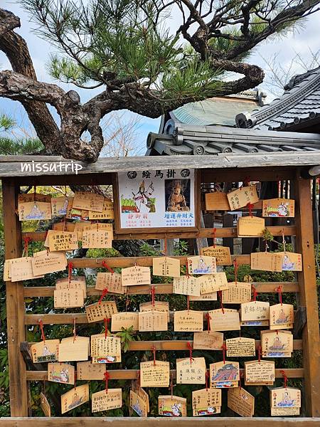 神泉苑 (15).jpg