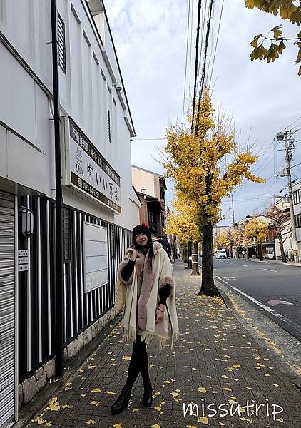 神泉苑2 (3).jpg