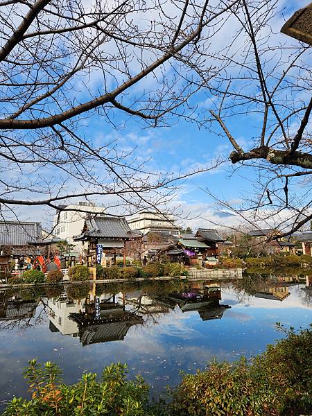 神泉苑 (3).jpg