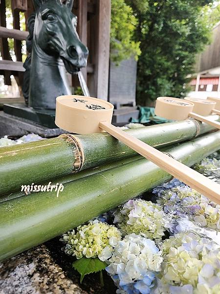 [京都景點] 祈求勝運的藤森神社-馬的守護神-賽馬必拜-夏季