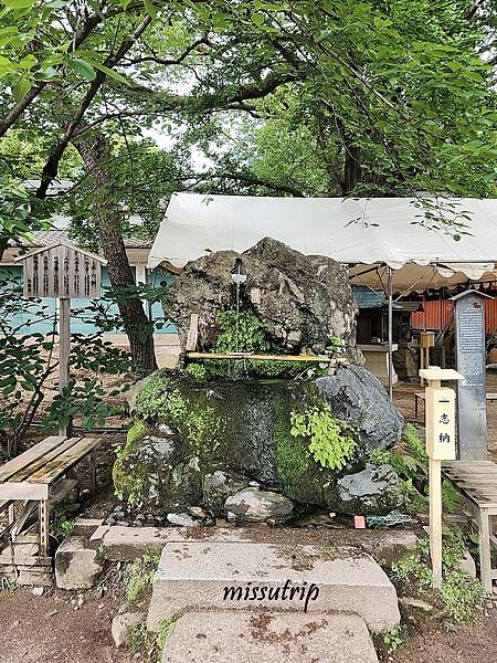 [京都景點] 祈求勝運的藤森神社-馬的守護神-賽馬必拜-夏季