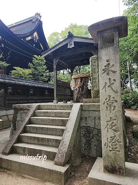[京都景點] 祈求勝運的藤森神社-馬的守護神-賽馬必拜-夏季